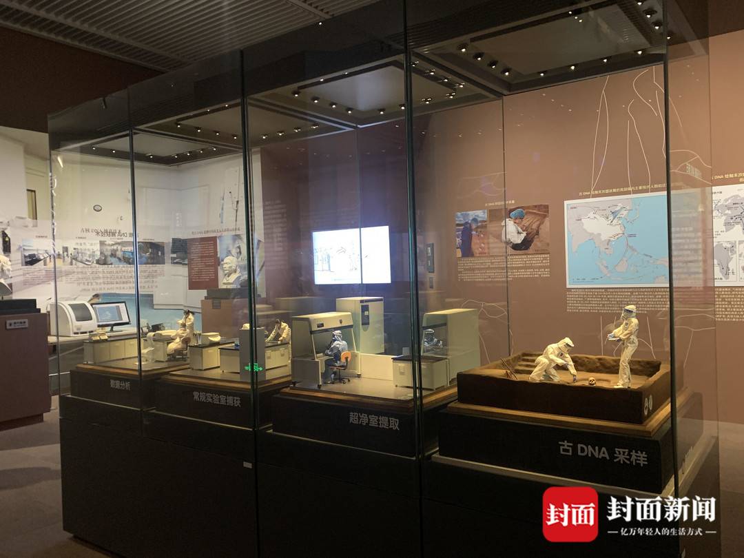 ��DNA���̽Ѱ������Դ���ܣ����Ҳ���ݡ��л���ذ���������ʷ��չ