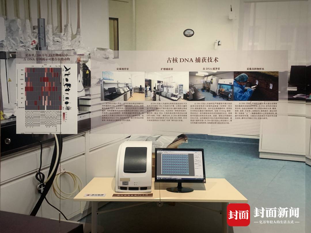 ��DNA���̽Ѱ������Դ���ܣ����Ҳ���ݡ��л���ذ���������ʷ��չ