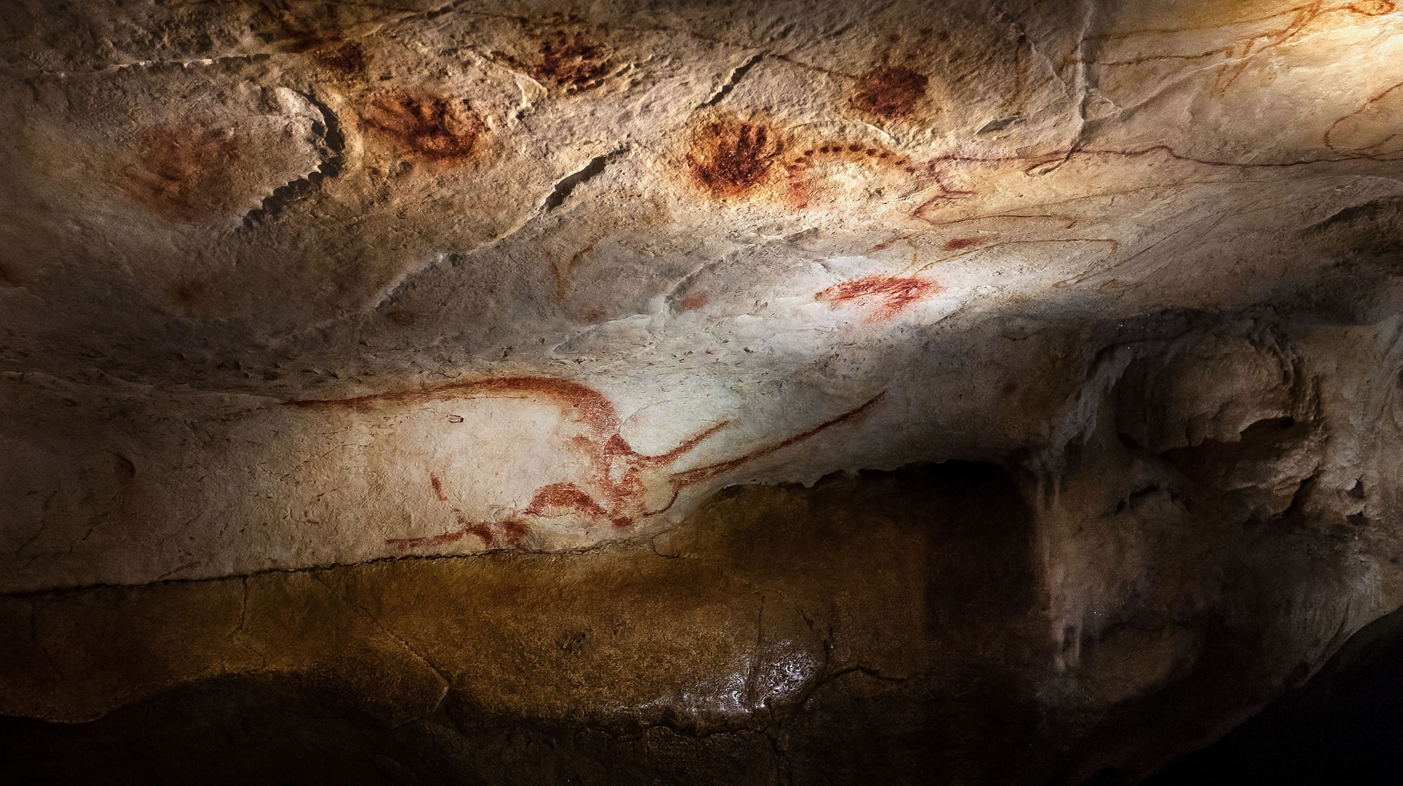 �о�����ԭʼ���Ů��Ҳ�������Ի