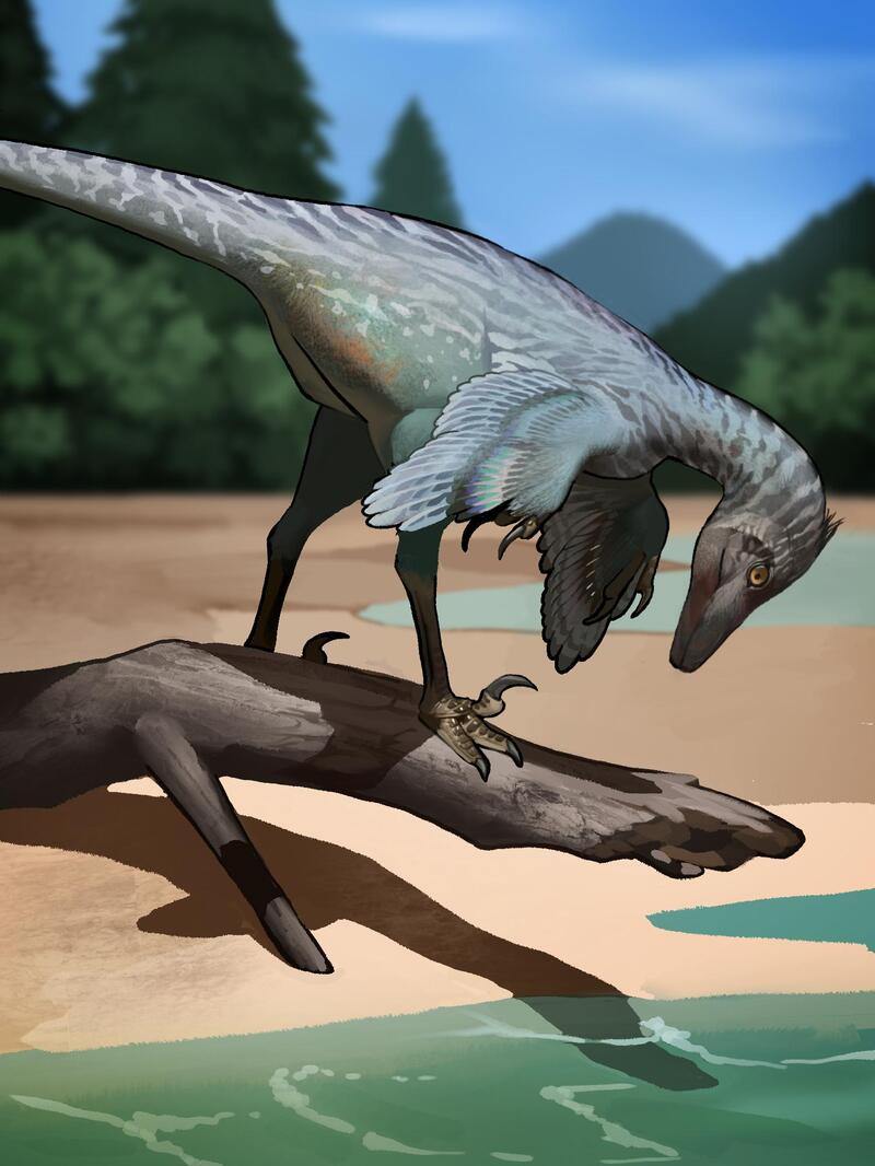 �״����й��������൰��ʯ�������ǿ������ϵĳ���