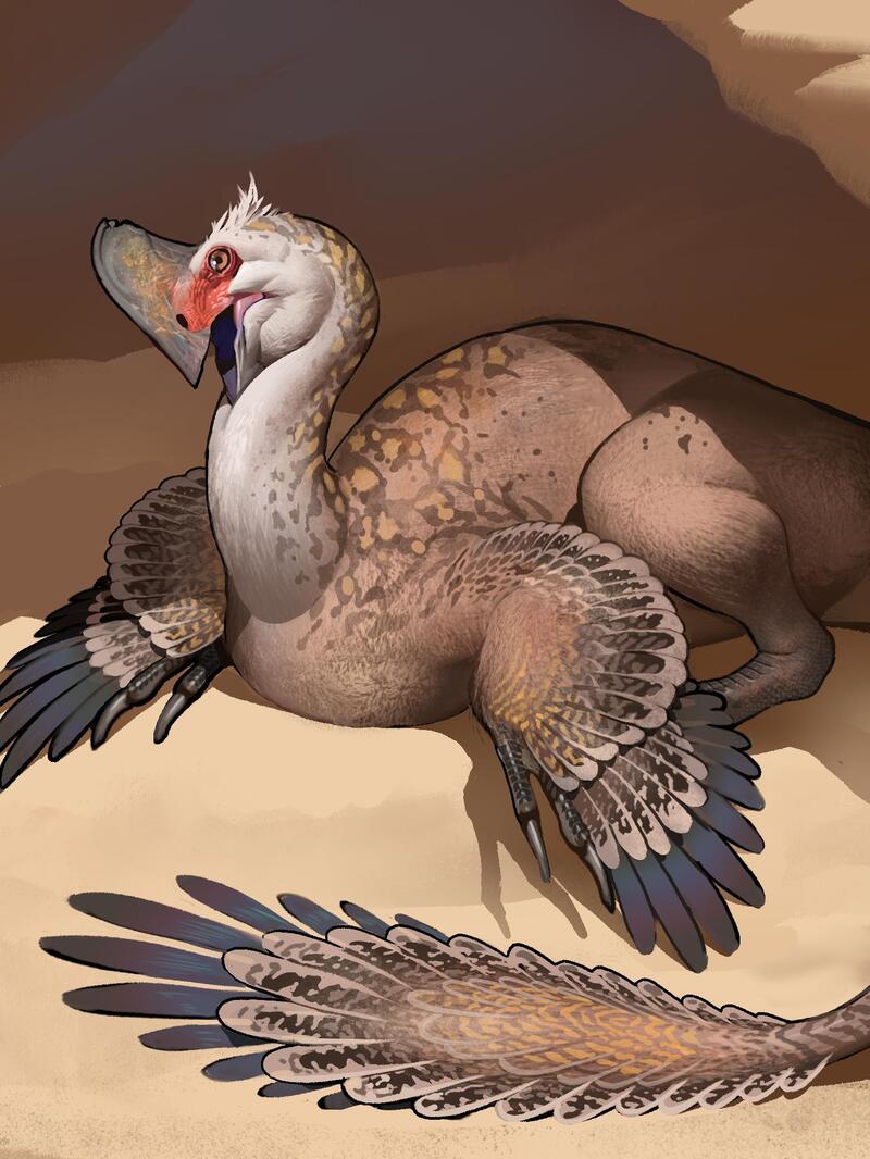 �״����й��������൰��ʯ�������ǿ������ϵĳ���