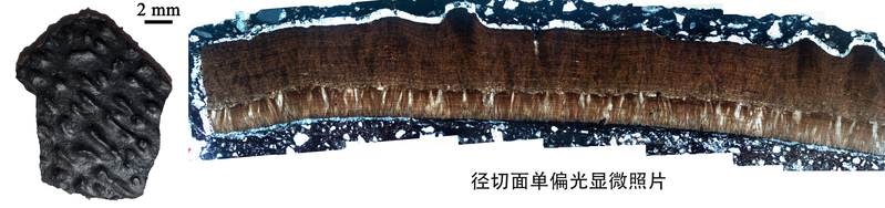 �״����й��������൰��ʯ�������ǿ������ϵĳ���