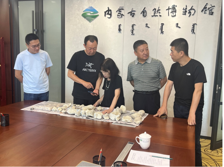 ���������칫���ֽ�������Ŀ�����ʯ�ƽ������׶���Ȼ�����