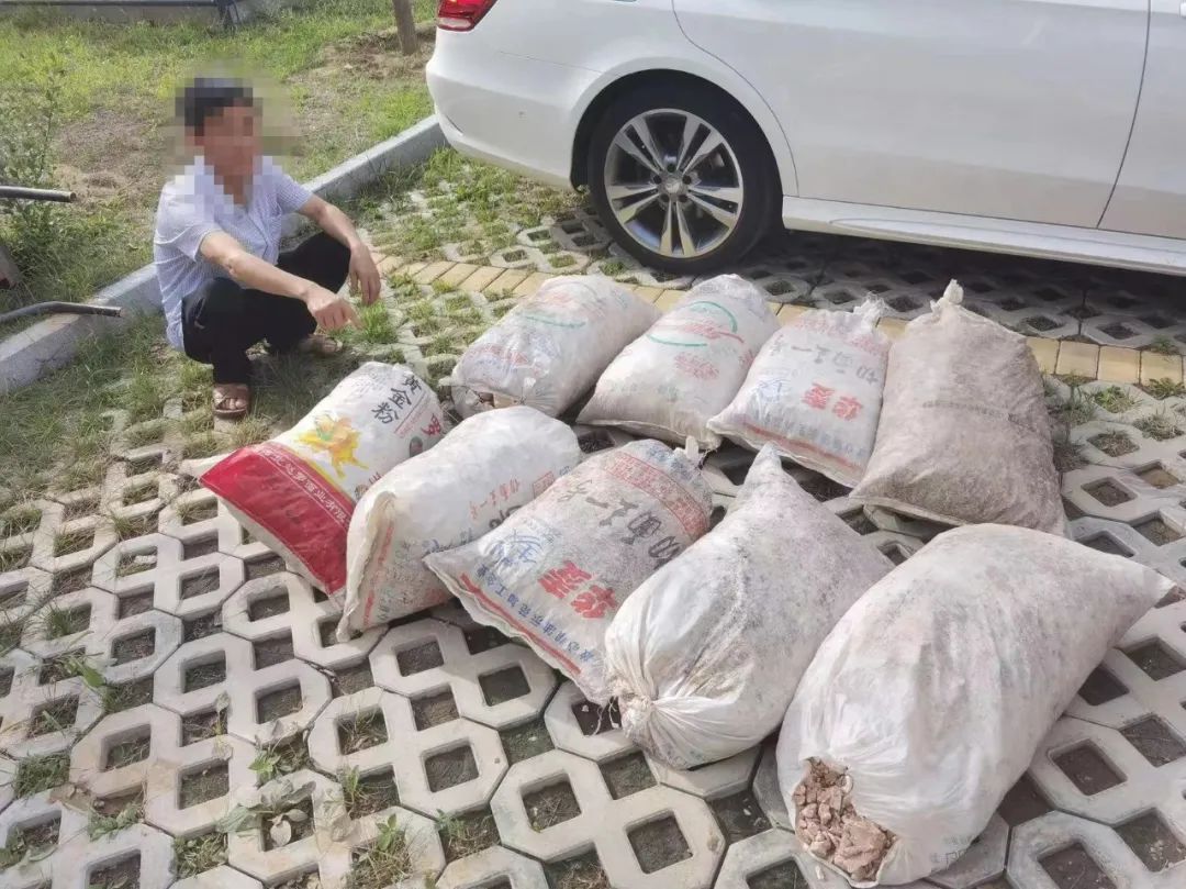 横山公安侦破盗掘古脊椎动物化石案