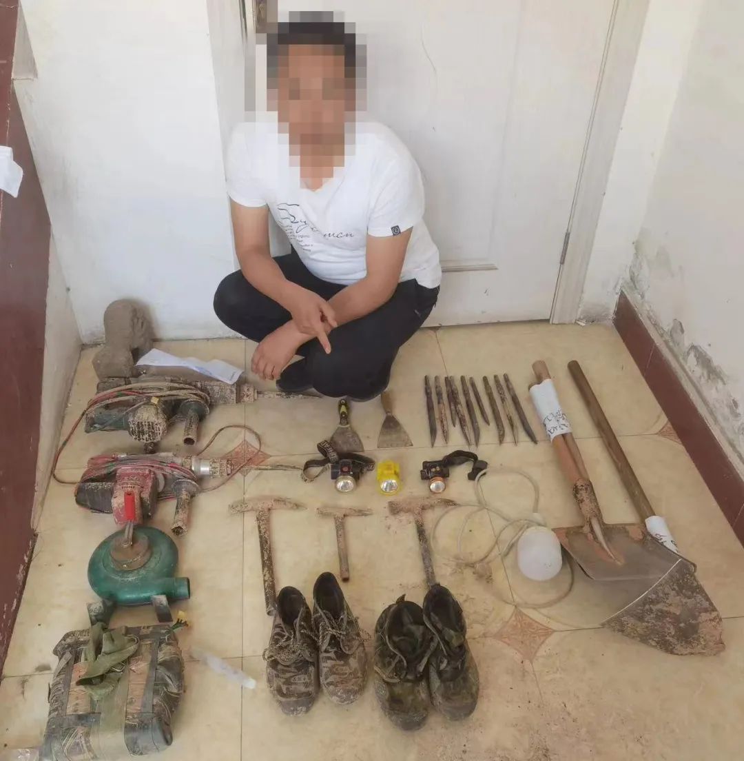 横山公安侦破盗掘古脊椎动物化石案