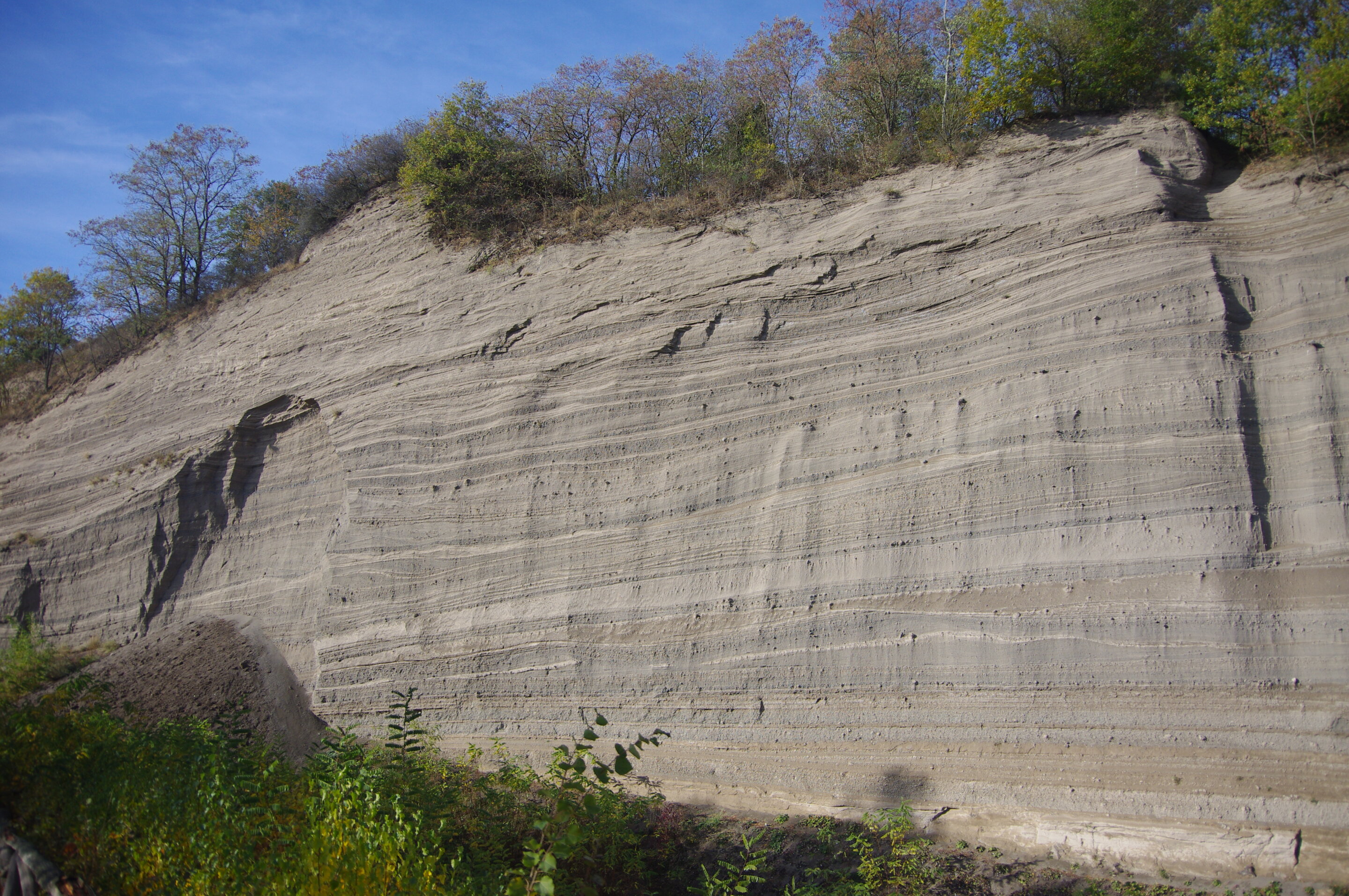 �о���Ա��Ϊ���պ���ɽ��������ȷʱ����12880��ǰ