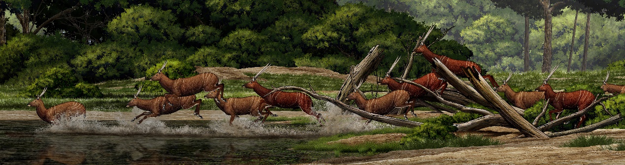 �й������ţ�嶯������о�