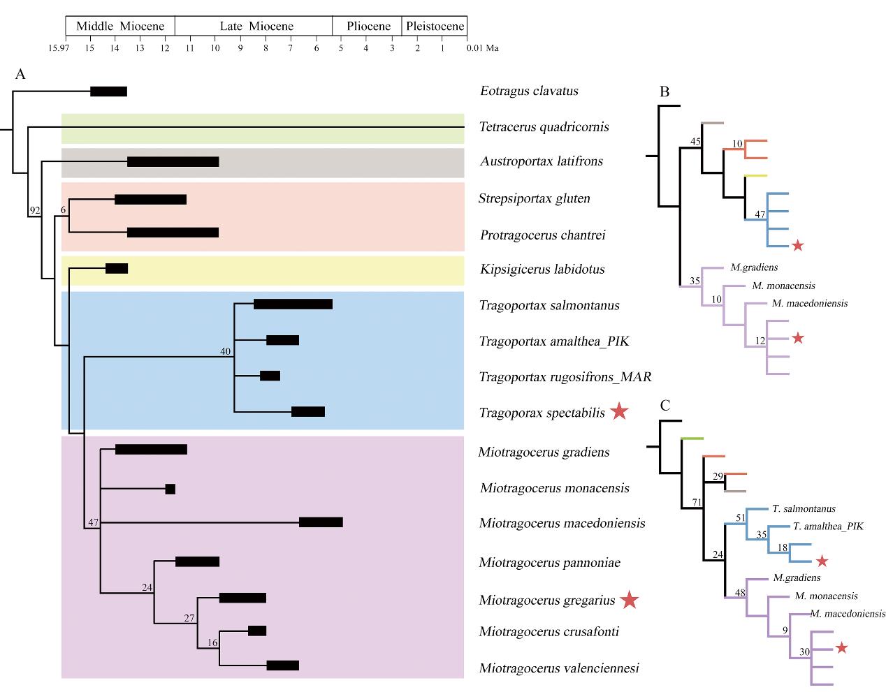 �й������ţ�嶯������о�
