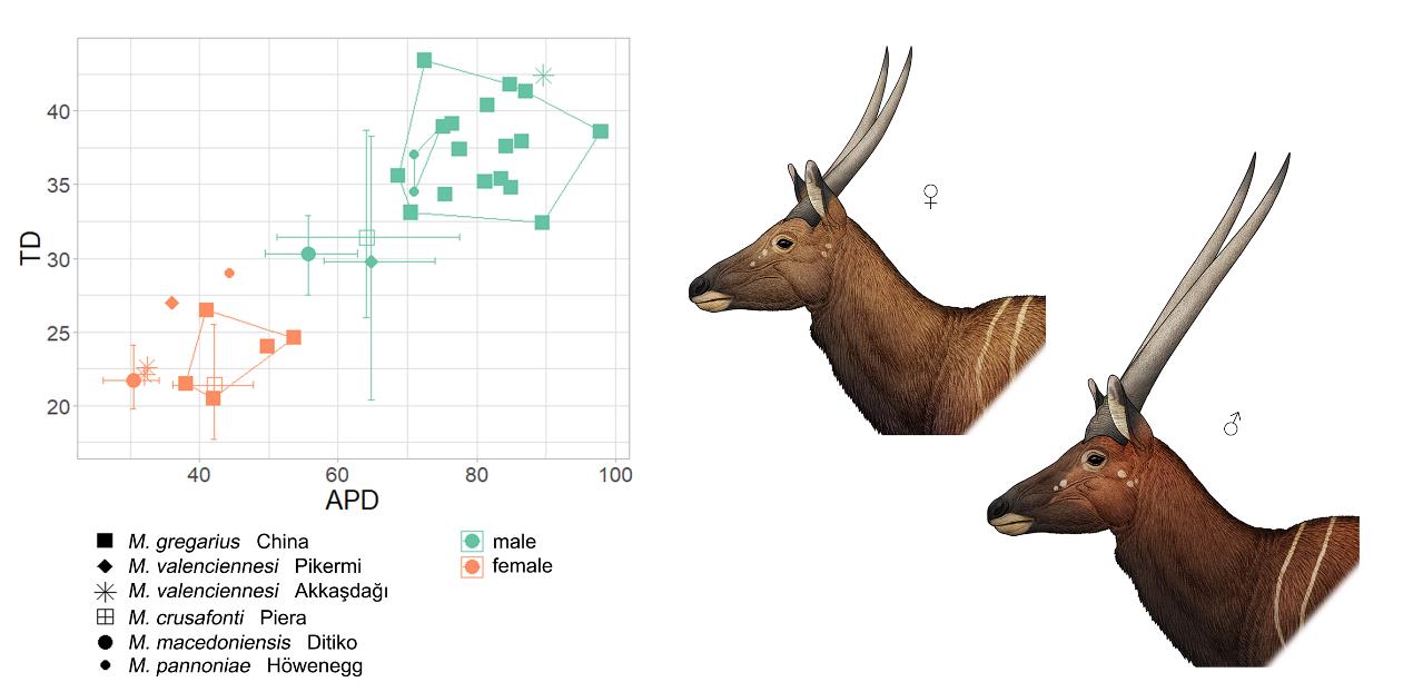 �й������ţ�嶯������о�