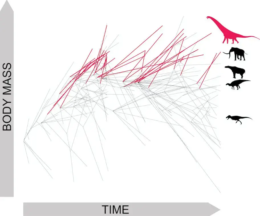 ���о���ʾ�����޴���������������ʵ���䴴���¼�ĳߴ��