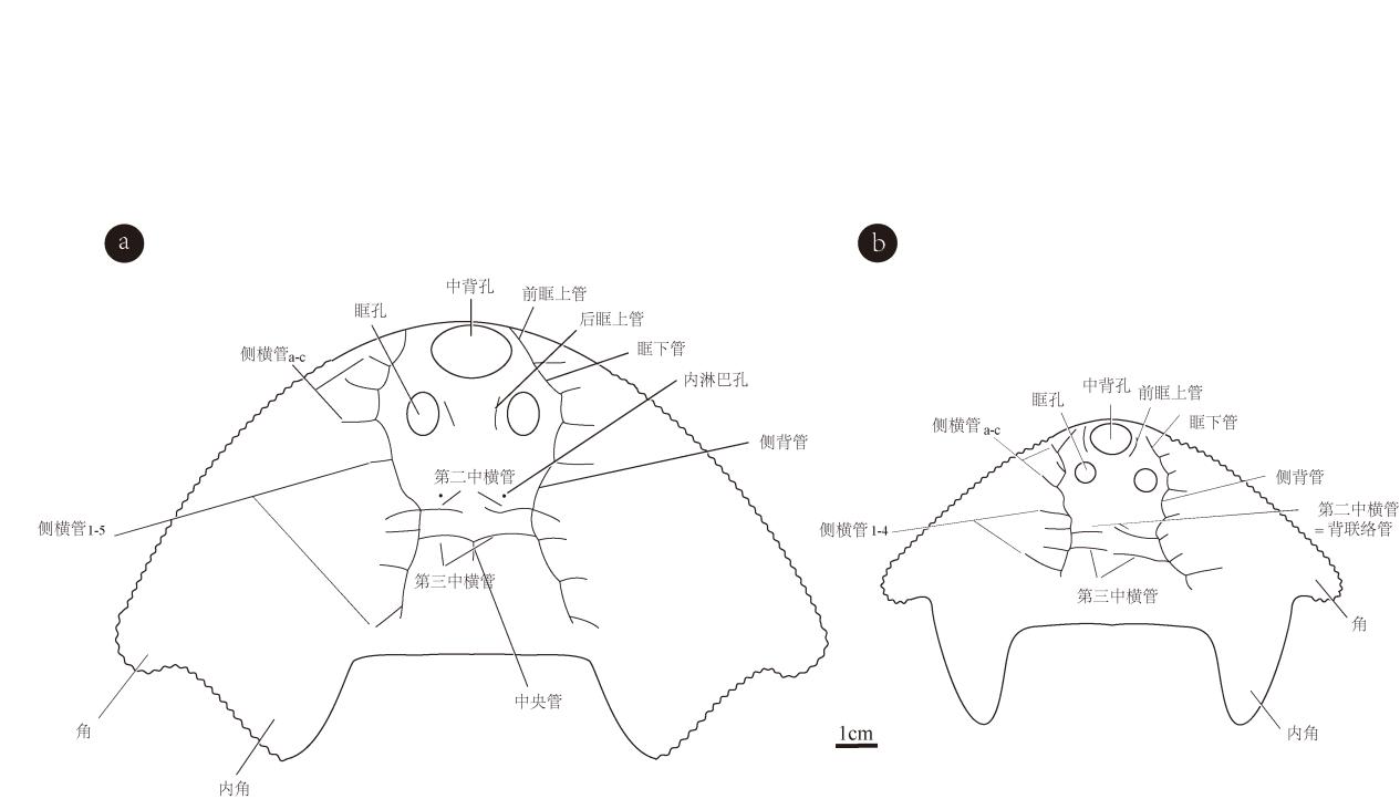 �ҹ������żҽ���ɽ���״η���Լ4.38����ǰ�������ࡪ�۾��ߴ�ӹ��