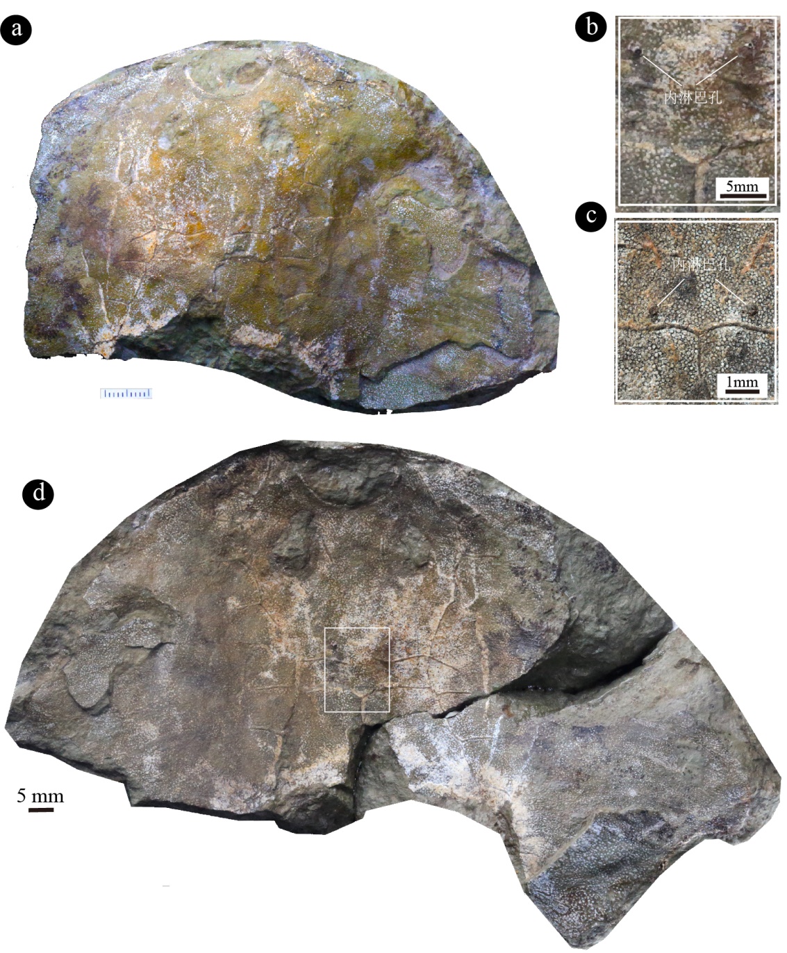 �ҹ������żҽ���ɽ���״η���Լ4.38����ǰ�������ࡪ�۾��ߴ�ӹ��