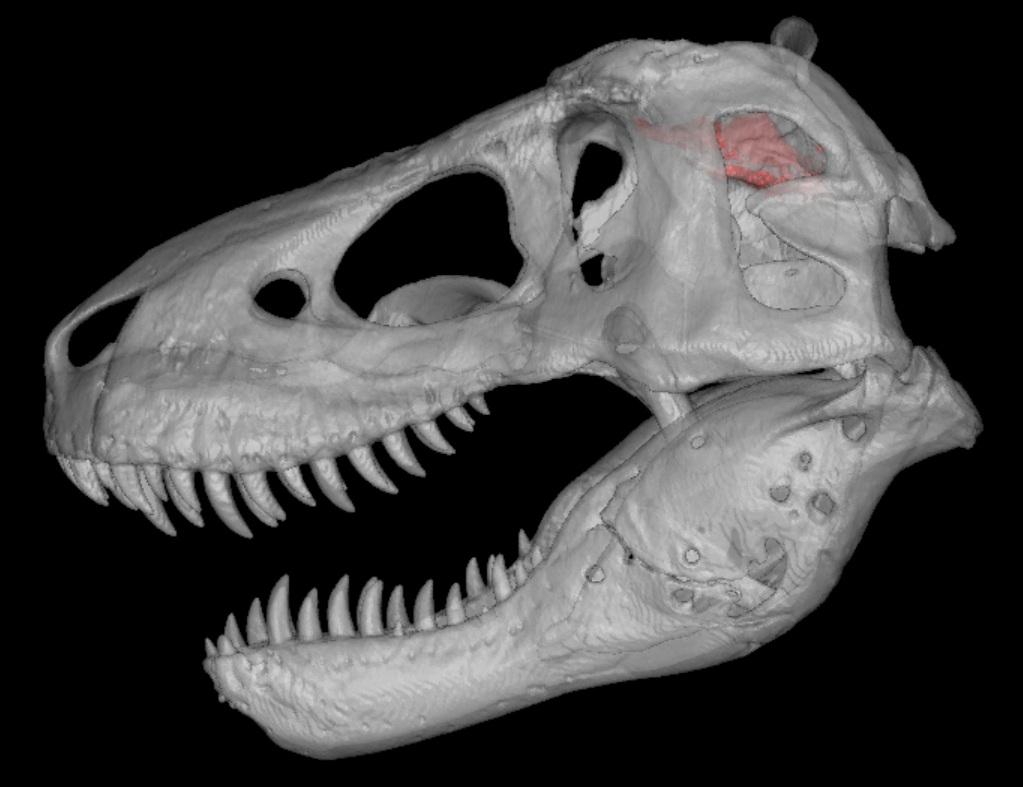 ���������֡���־��վ�����������̵����ж�ߣ�