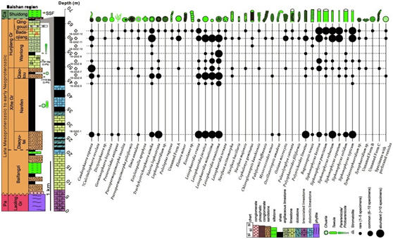 ��ǰ�����о�����������鼪�ϵ���ǰ����ϵ-����ϵ�����о�ȡ���½�չ