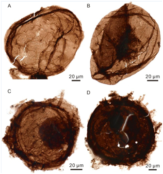 ��ǰ�����о�����������鼪�ϵ���ǰ����ϵ-����ϵ�����о�ȡ���½�չ