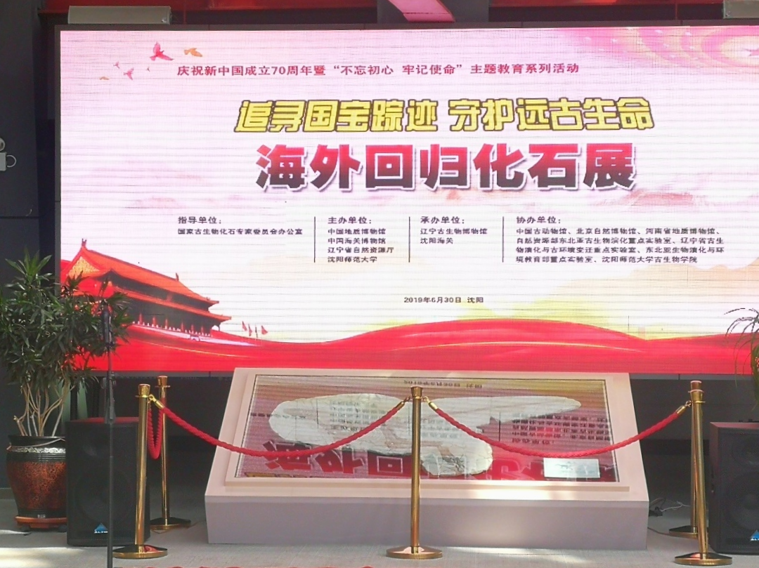 Ѱ�ұ������������ػ��ˣ��Ŷӣ������ҹ����ﻯʯר��ίԱ��칫��