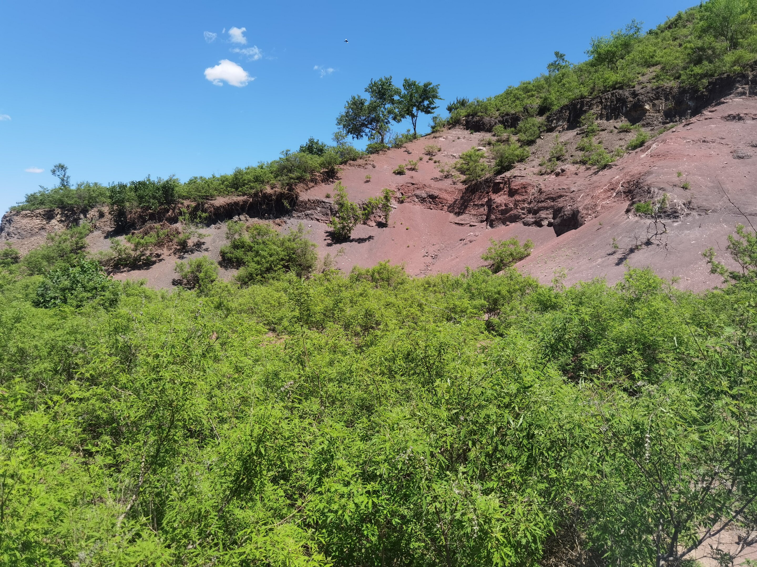 �й���Ѱ���Ļ�ʯ��ʾ���鶯�﹥�������ĺ���֤��