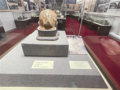 �ܿڵ���ַ�·������ඥ�ǻ�ʯ ʧ�ٵı�����ͷ�ǹ�ԭ�����縴��ģ����ر�������Ժ