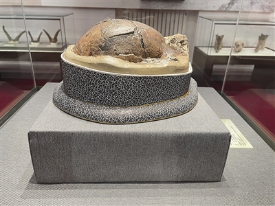 �ܿڵ���ַ�·������ඥ�ǻ�ʯ ʧ�ٵı�����ͷ�ǹ�ԭ�����縴��ģ����ر�������Ժ