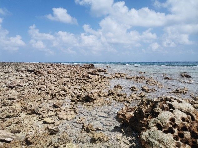 �������ѧ���������ع麣���3�����������