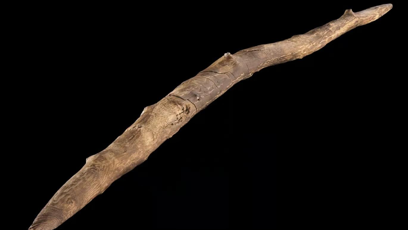 ���������������30����ǰ����ľ��ר��