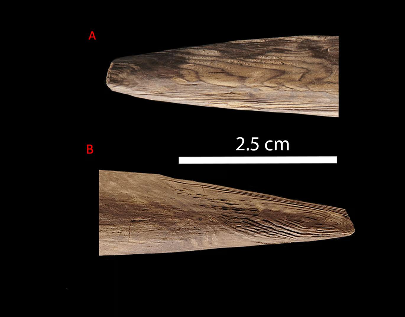 ���������������30����ǰ����ľ��ר��