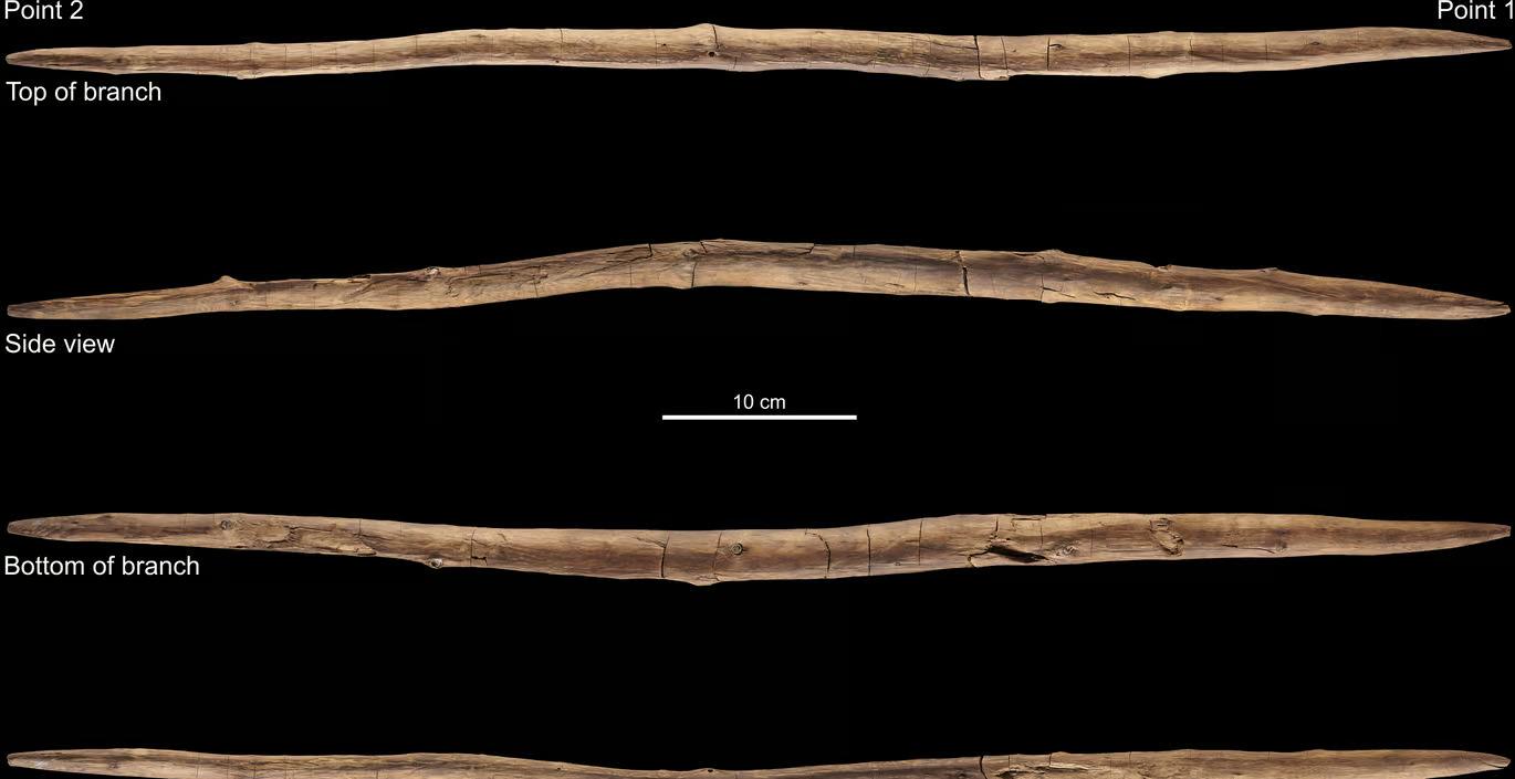 ���������������30����ǰ����ľ��ר��