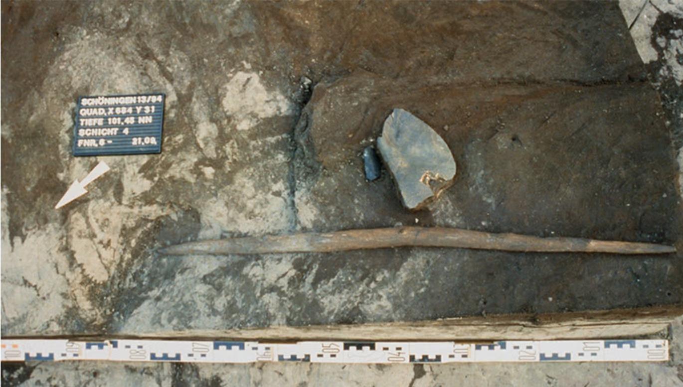 ���������������30����ǰ����ľ��ר��