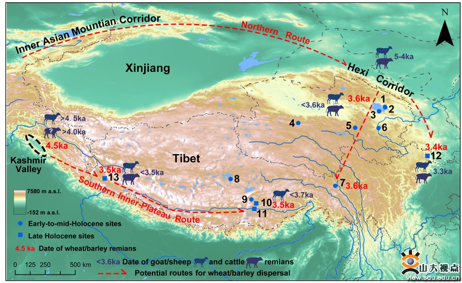 �����ݻ��о��Ŷӷ�����ظ�ԭ�����о��³ɹ�