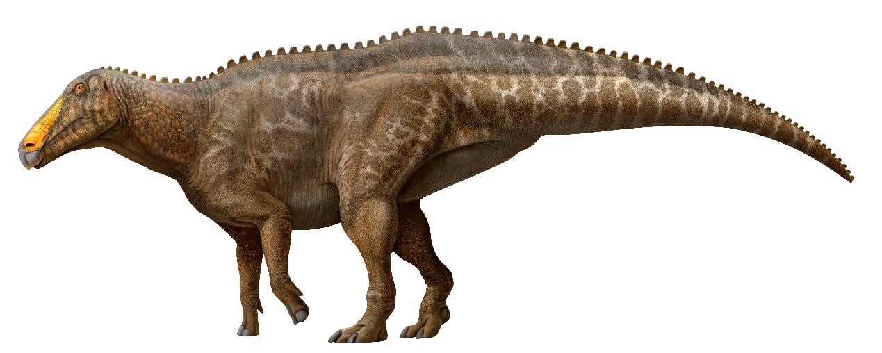 ����������ͷ������������о���һ��ȷ���������������ķ���λ��