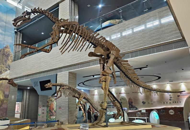 ����������ͷ������������о���һ��ȷ���������������ķ���λ��