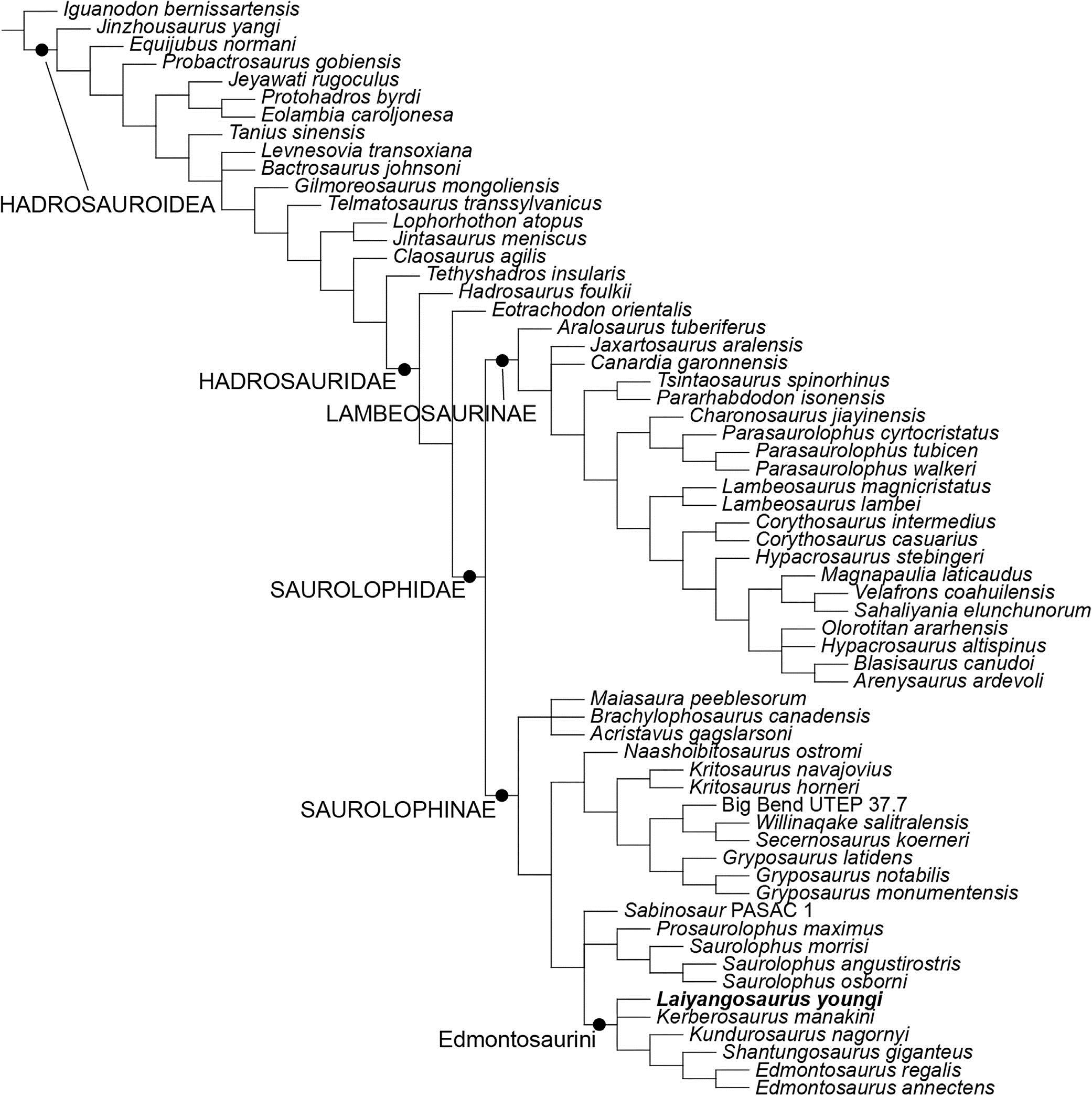 ����������ͷ������������о���һ��ȷ���������������ķ���λ��