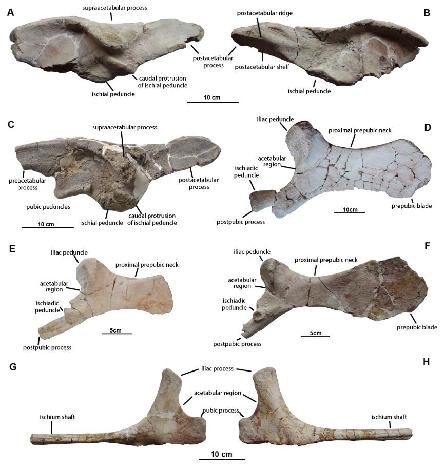 ����������ͷ������������о���һ��ȷ���������������ķ���λ��