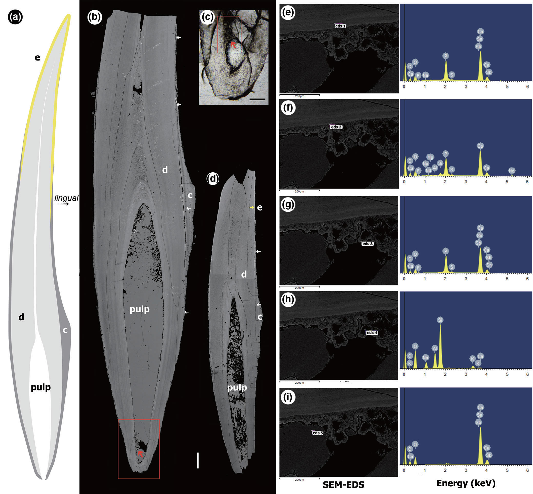 �о����ֹ��������������ʲ�ܱ�