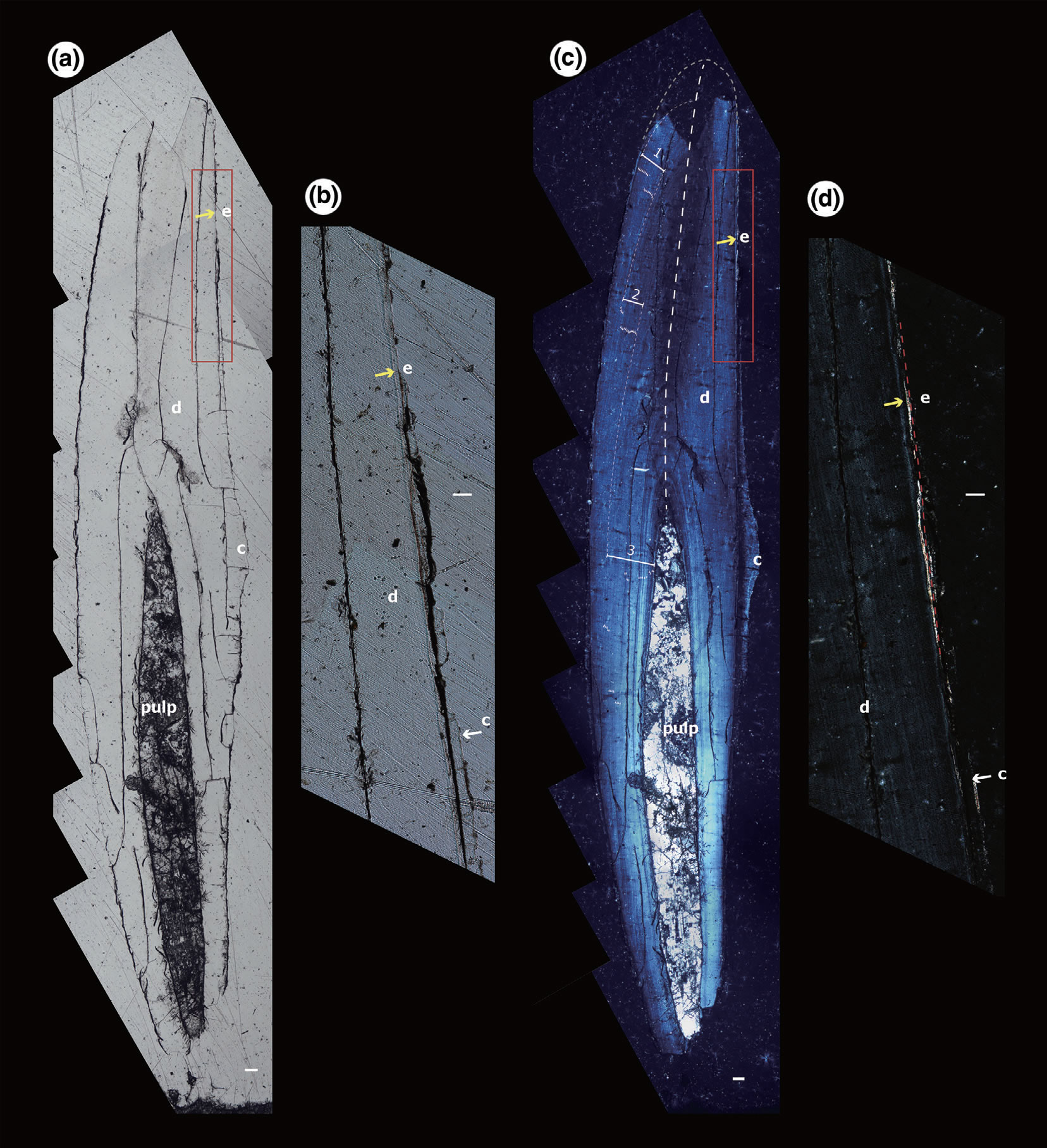 �о����ֹ��������������ʲ�ܱ�