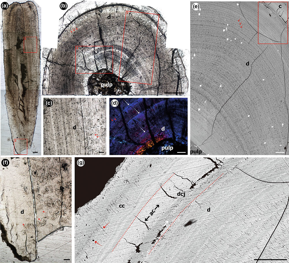 �о����ֹ��������������ʲ�ܱ�