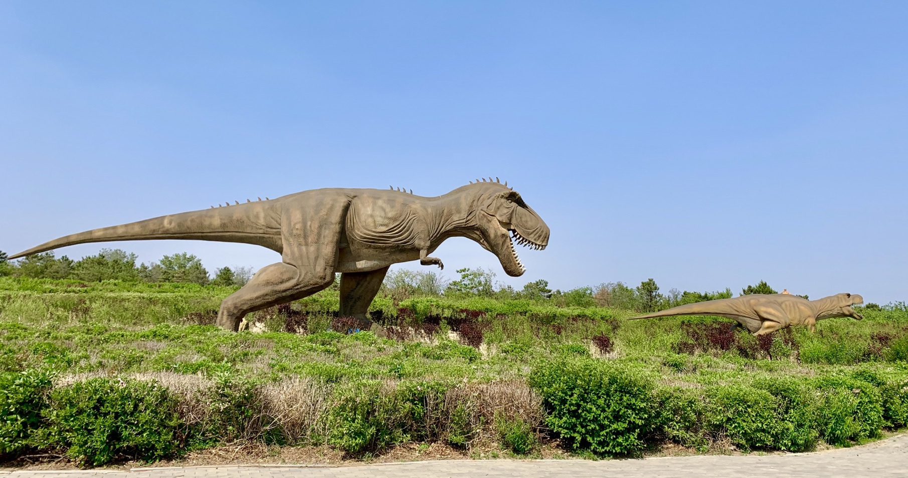 2023�������ļ����λ���׽컯ʯ�Ļ����νڿ�Ļ