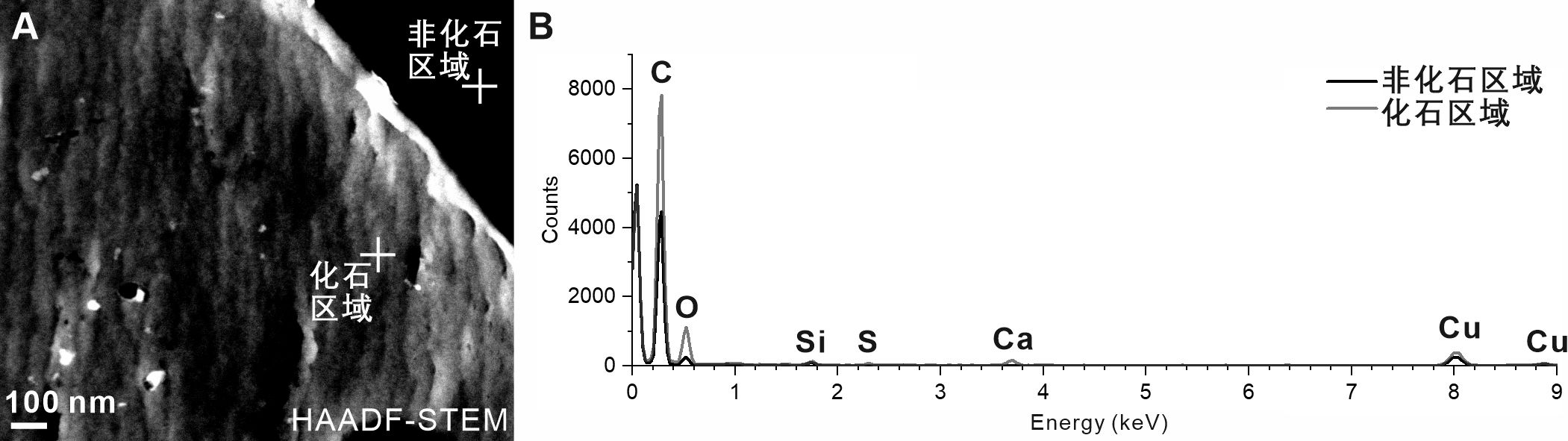 Science����ԭ���������ŶӶ���ƪ�������ϳ����ĵĻ�Ӧ