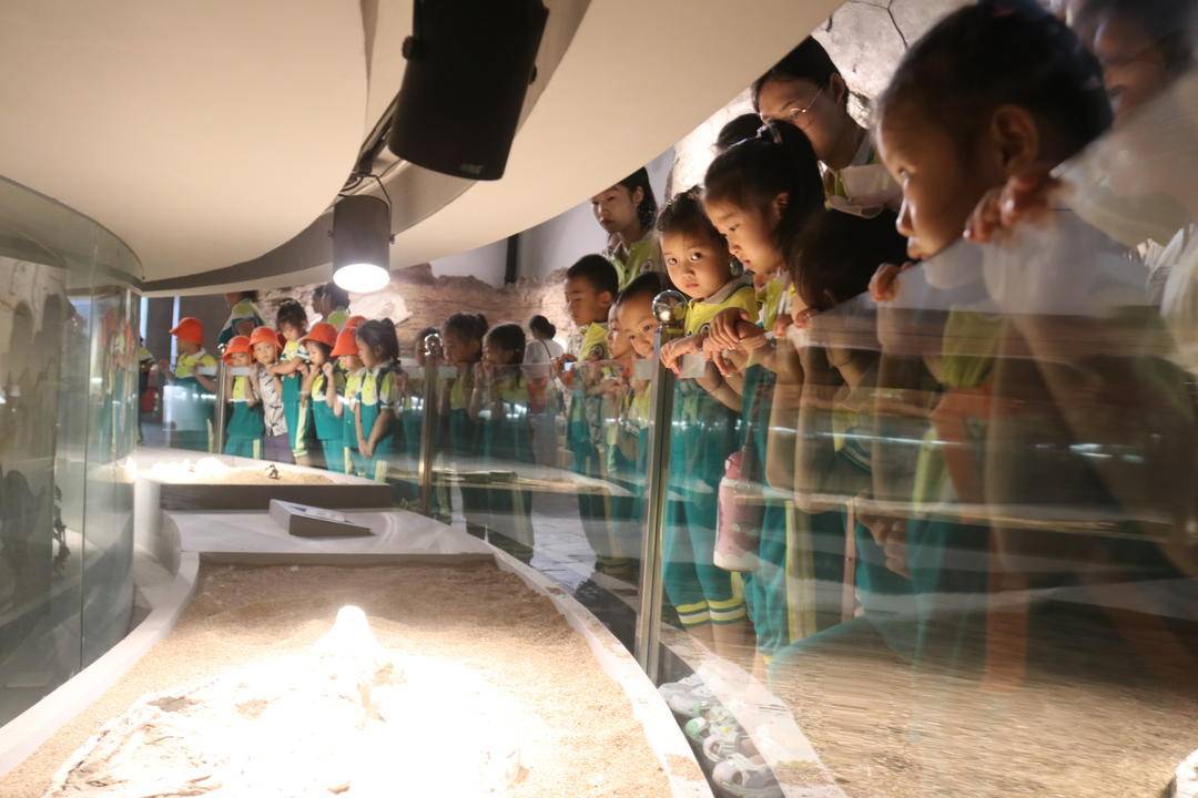 ����������ǰ��������������ʯ��ѧ�α�������