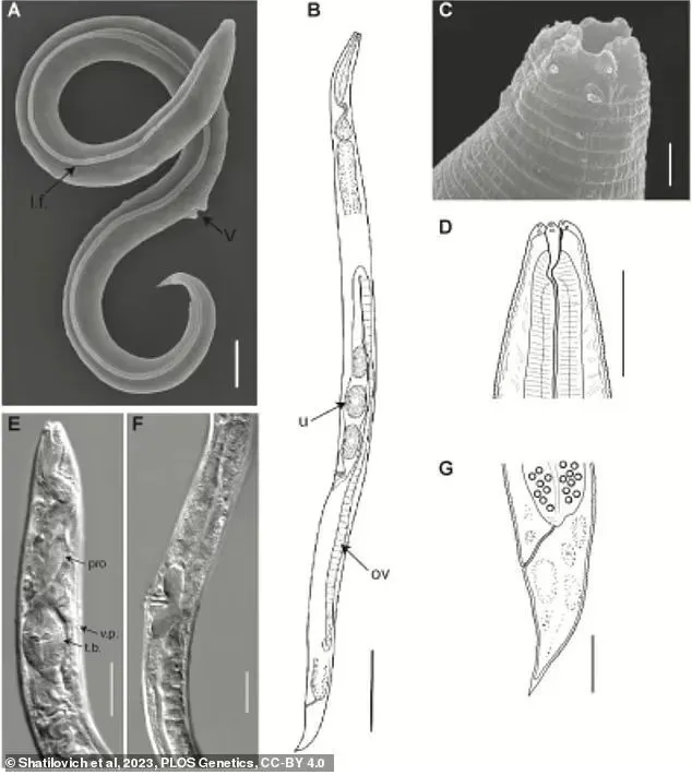 ����4.6����ǰ�ġ��������ѧ�һ�����������ͬʱ�����߳�