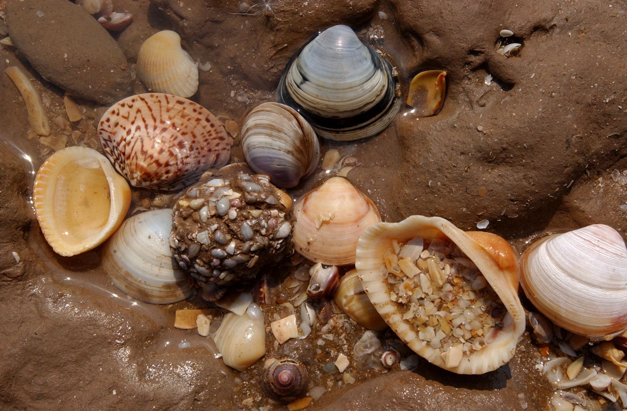 ��������ѧ�ձ�����վ��˫���ද��Ϊ���ڽ������ͺ�