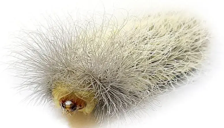 ëë�����ڵĶ�Һ��ͨ��4�ڶ���ǰϸ�������ת�ƽ�������