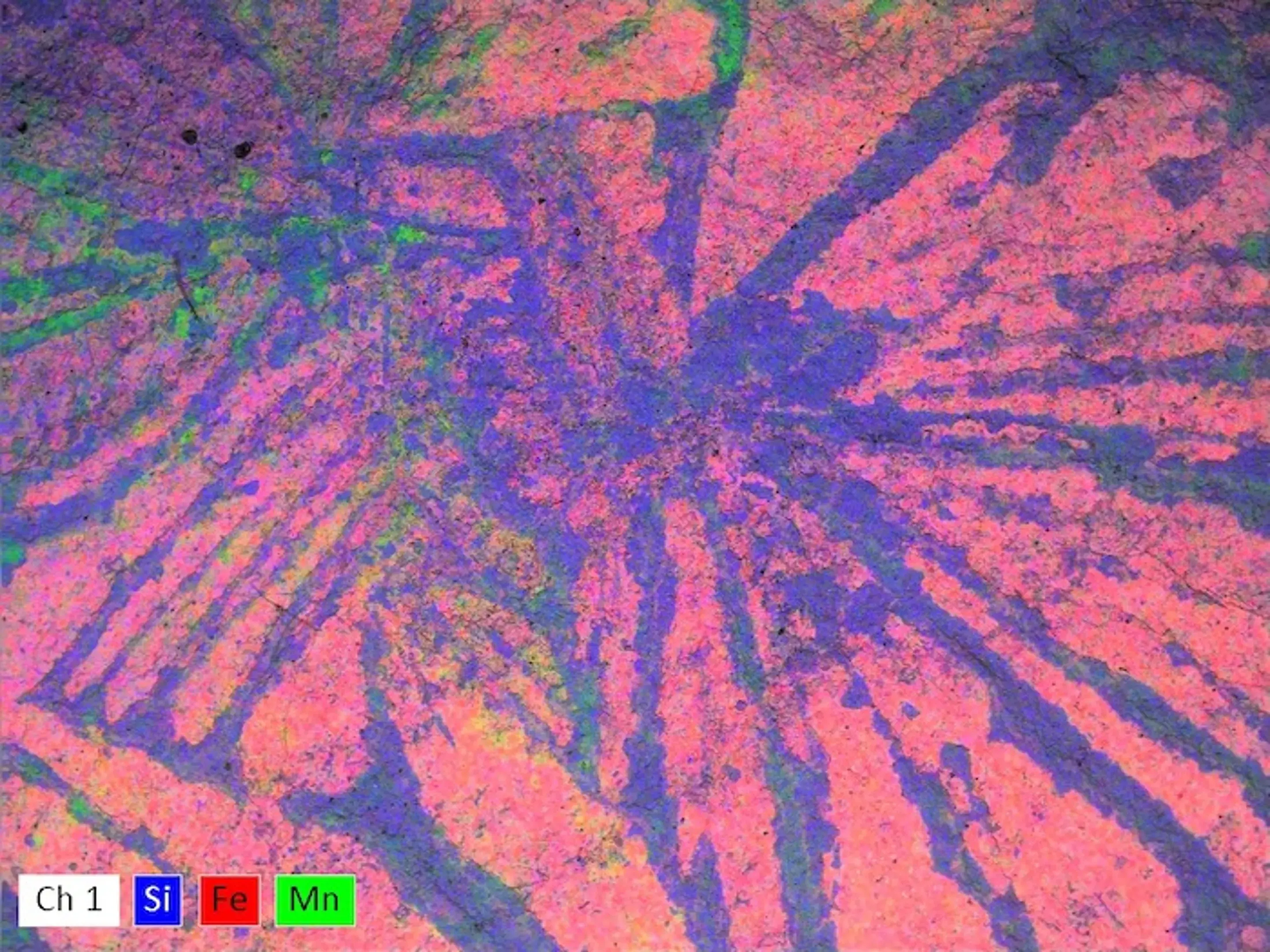 5亿年前的水生无脊椎动物被命名为