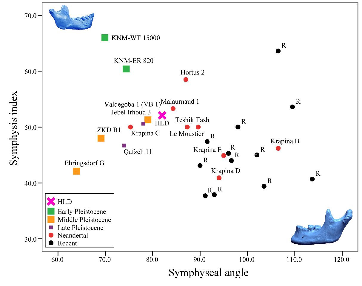 ���й����ֵ�30����ǰ�ź��������ڵ�������Ѫͳ