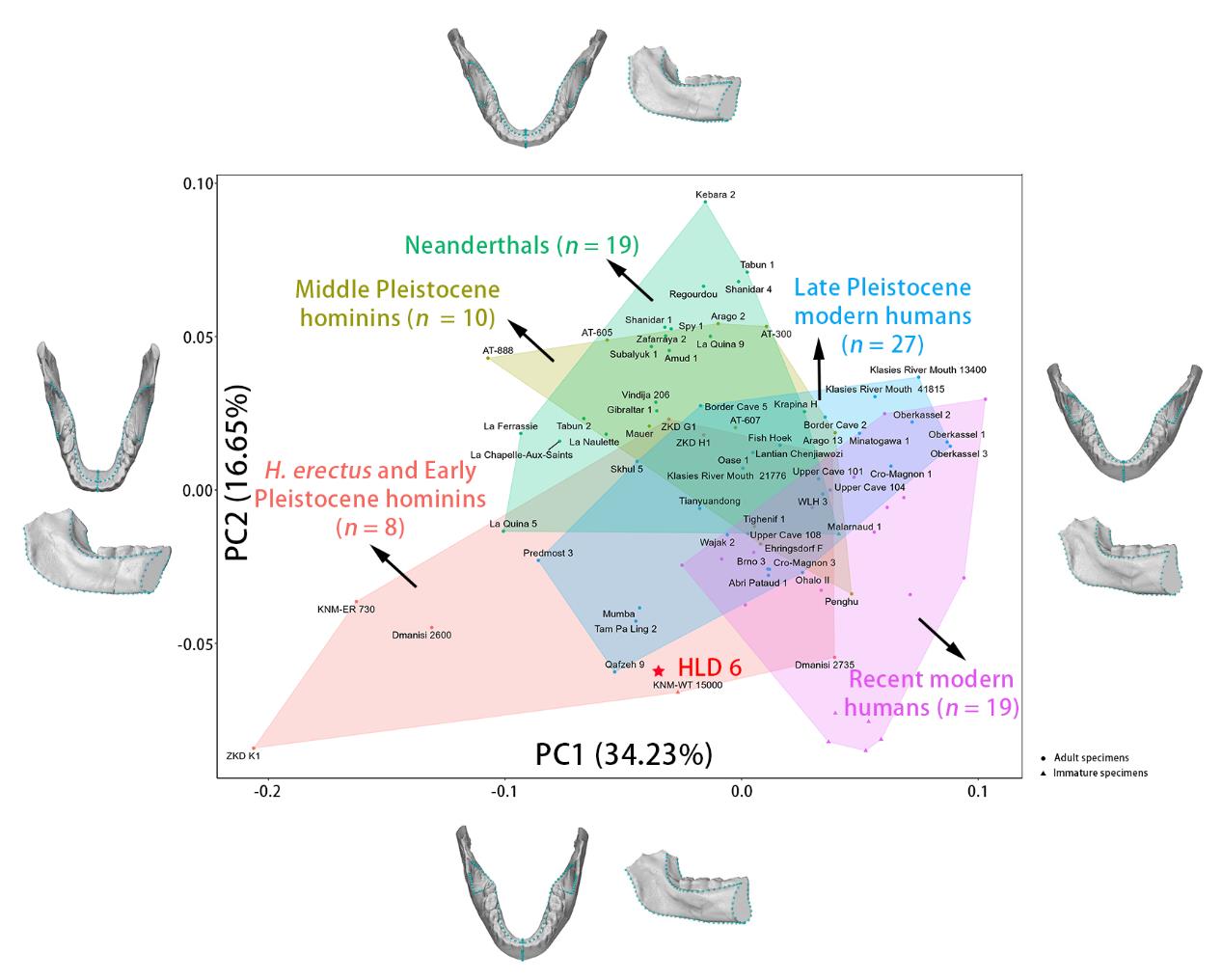 ���й����ֵ�30����ǰ�ź��������ڵ�������Ѫͳ