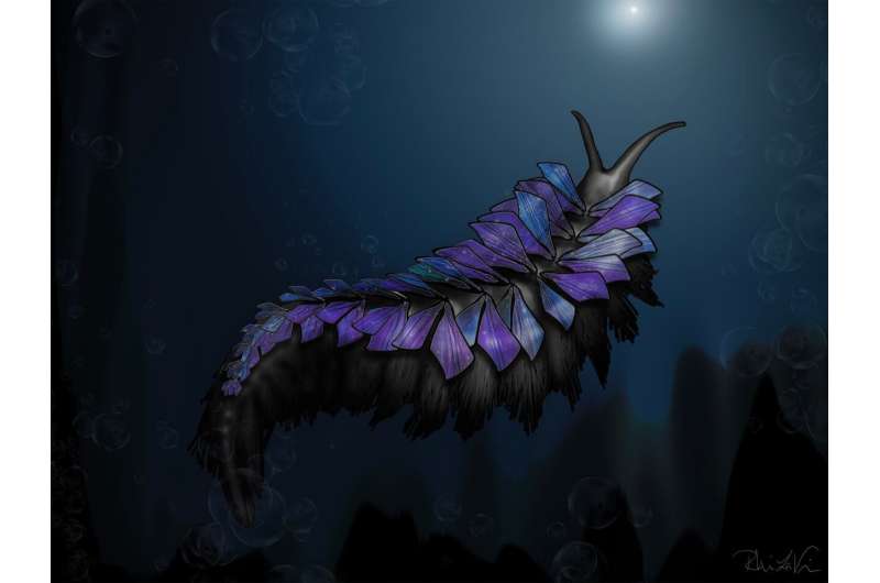 �о��ṩ���ԡ�ɳ�𡱹���������5����ǰ�����һƳ