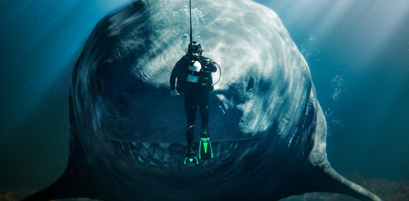 ÷��2������޳�������࣬Ϊʲô�ⲿ�����ĵ�Ӱ���Լ���δ���Ĺ�����ѧ��