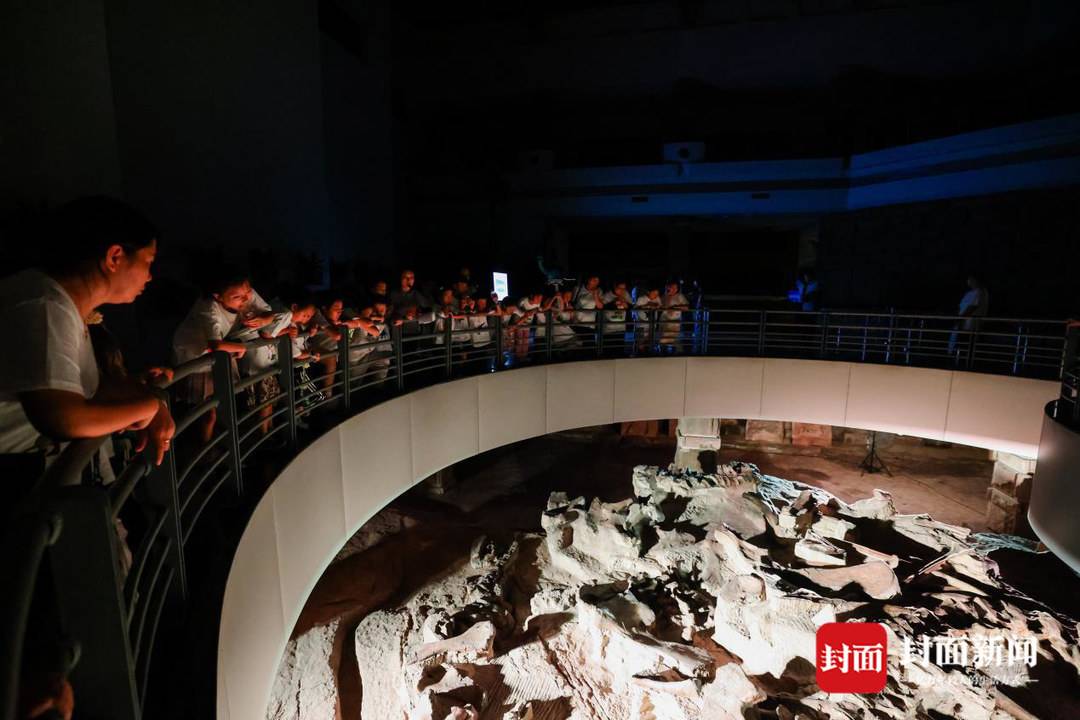青少年化身“恐龙猎人”在四川自贡恐龙博物馆体验“恐龙奇妙夜”