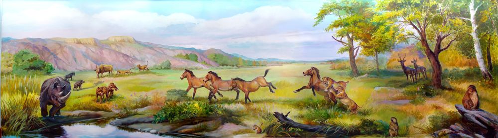 ��������������¼�������ĵ������