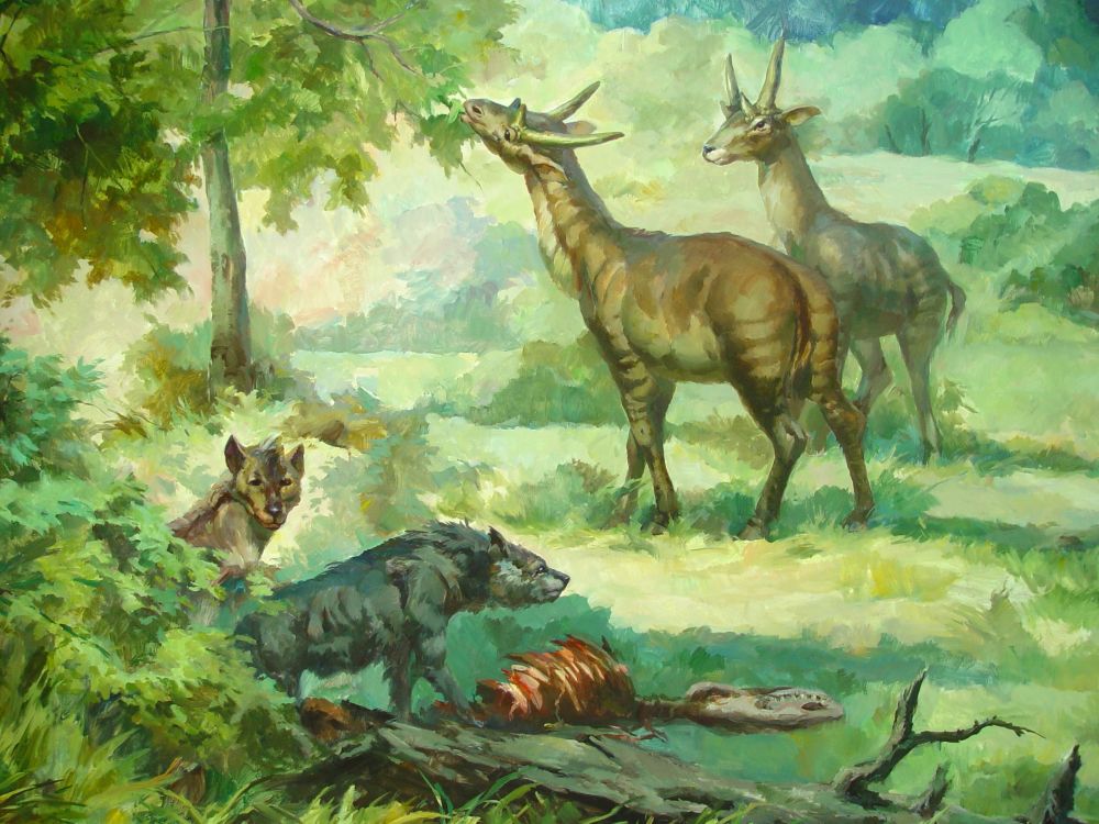 ��������������¼�������ĵ������